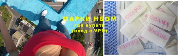 метадон Алексин