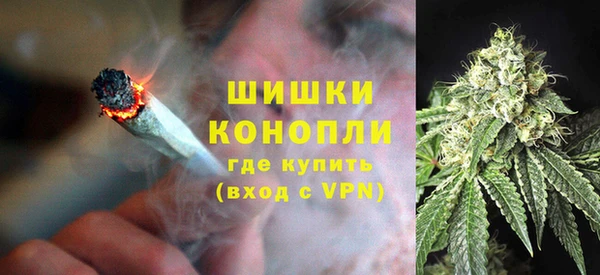 ПСИЛОЦИБИНОВЫЕ ГРИБЫ Абаза