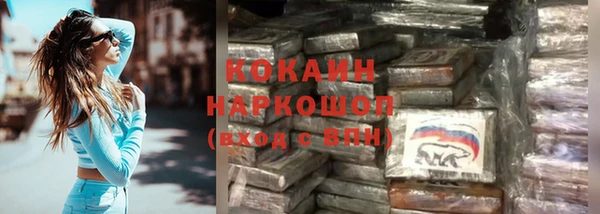ПСИЛОЦИБИНОВЫЕ ГРИБЫ Абаза