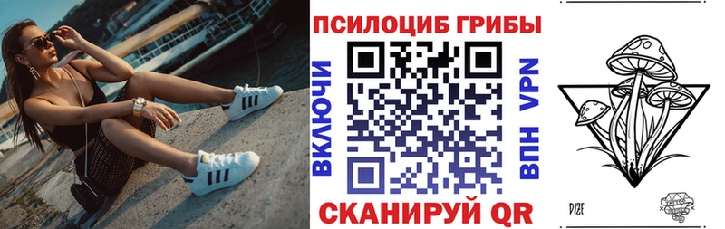 купить закладку  Красновишерск  Псилоцибиновые грибы мухоморы 